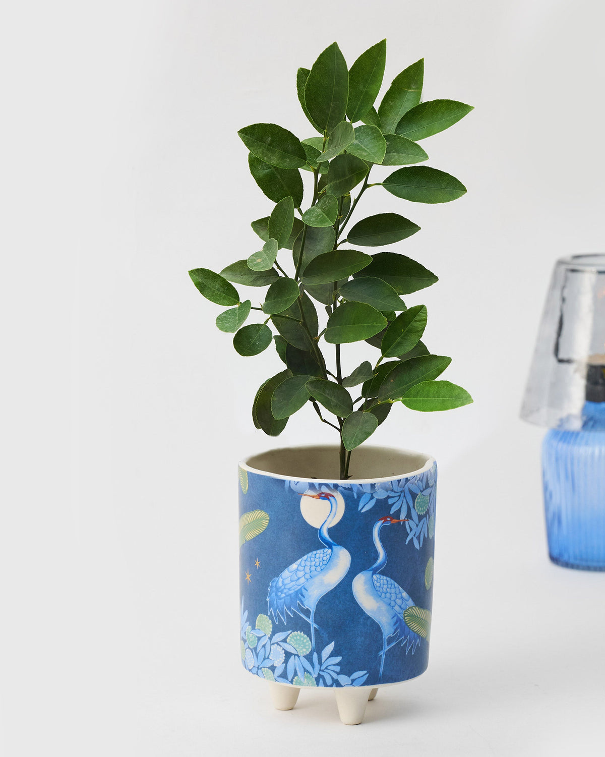 Dancing Crane Planter