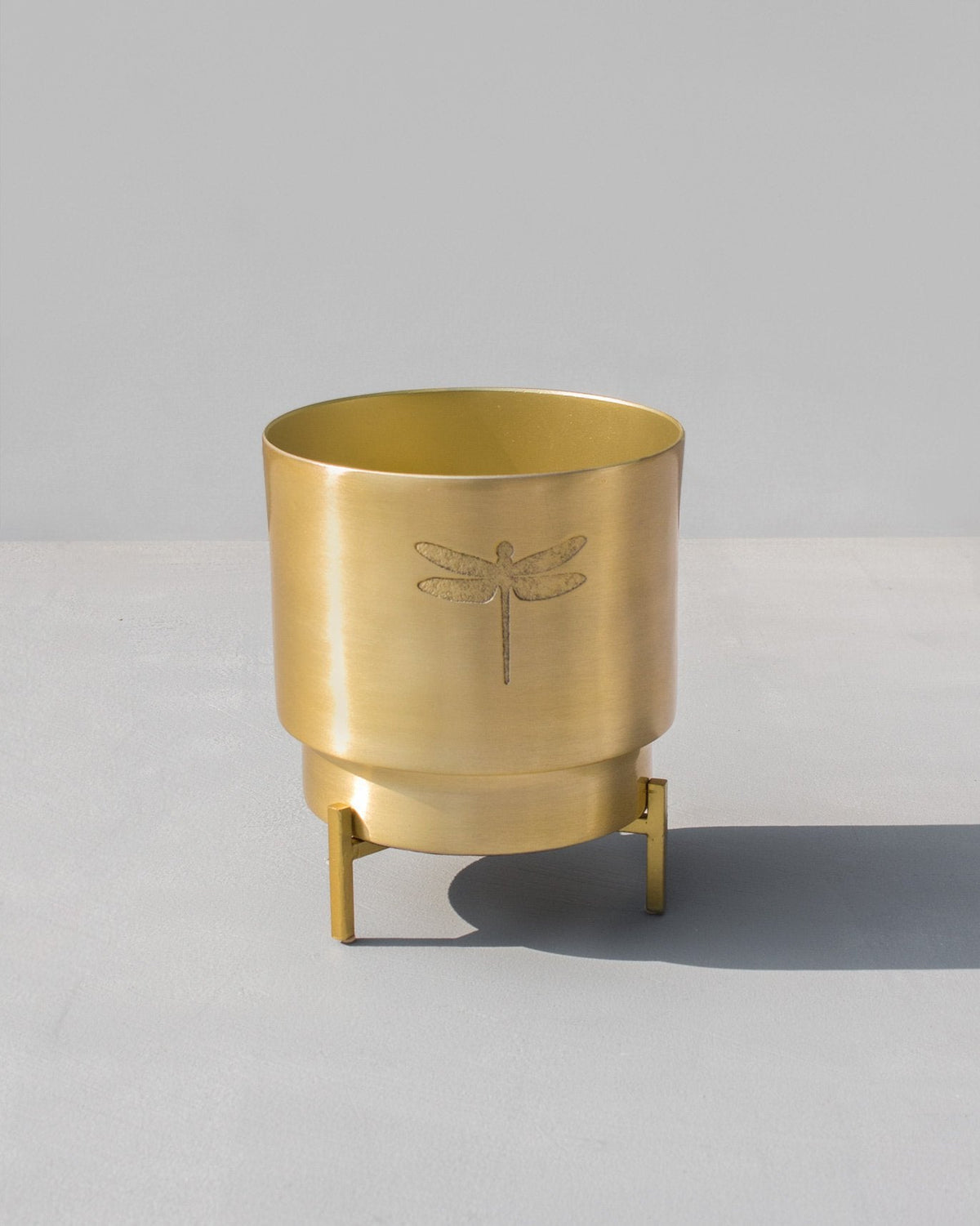 Dune Planter