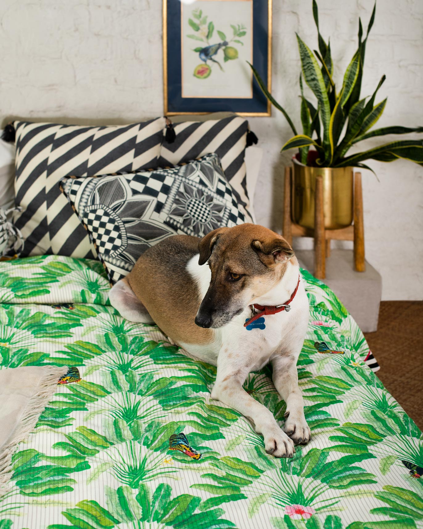 Ravenala Bed Cover - Queen
