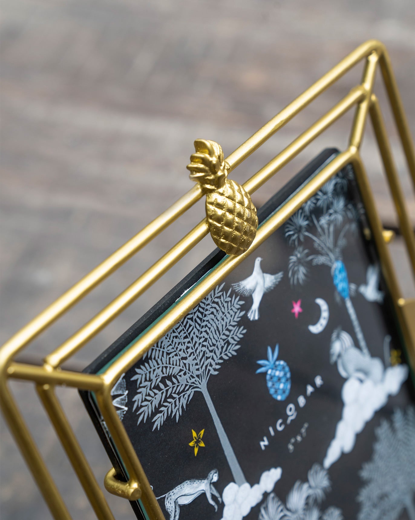 Ananas Photo Frame