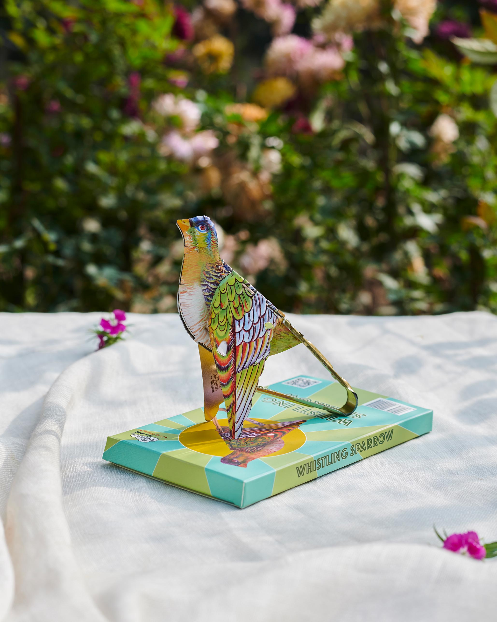 whistling sparrow - Multi