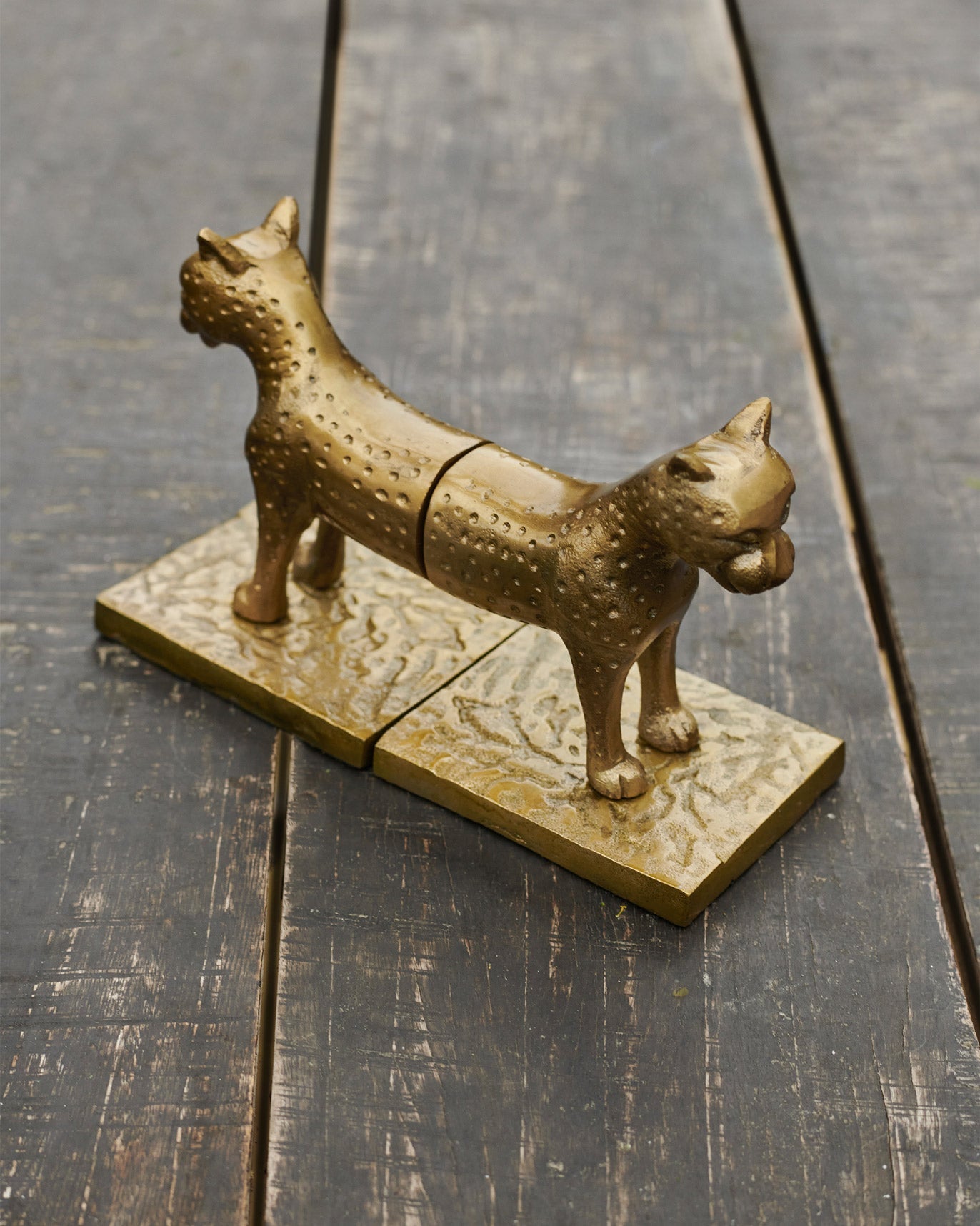 Leopard Bookends