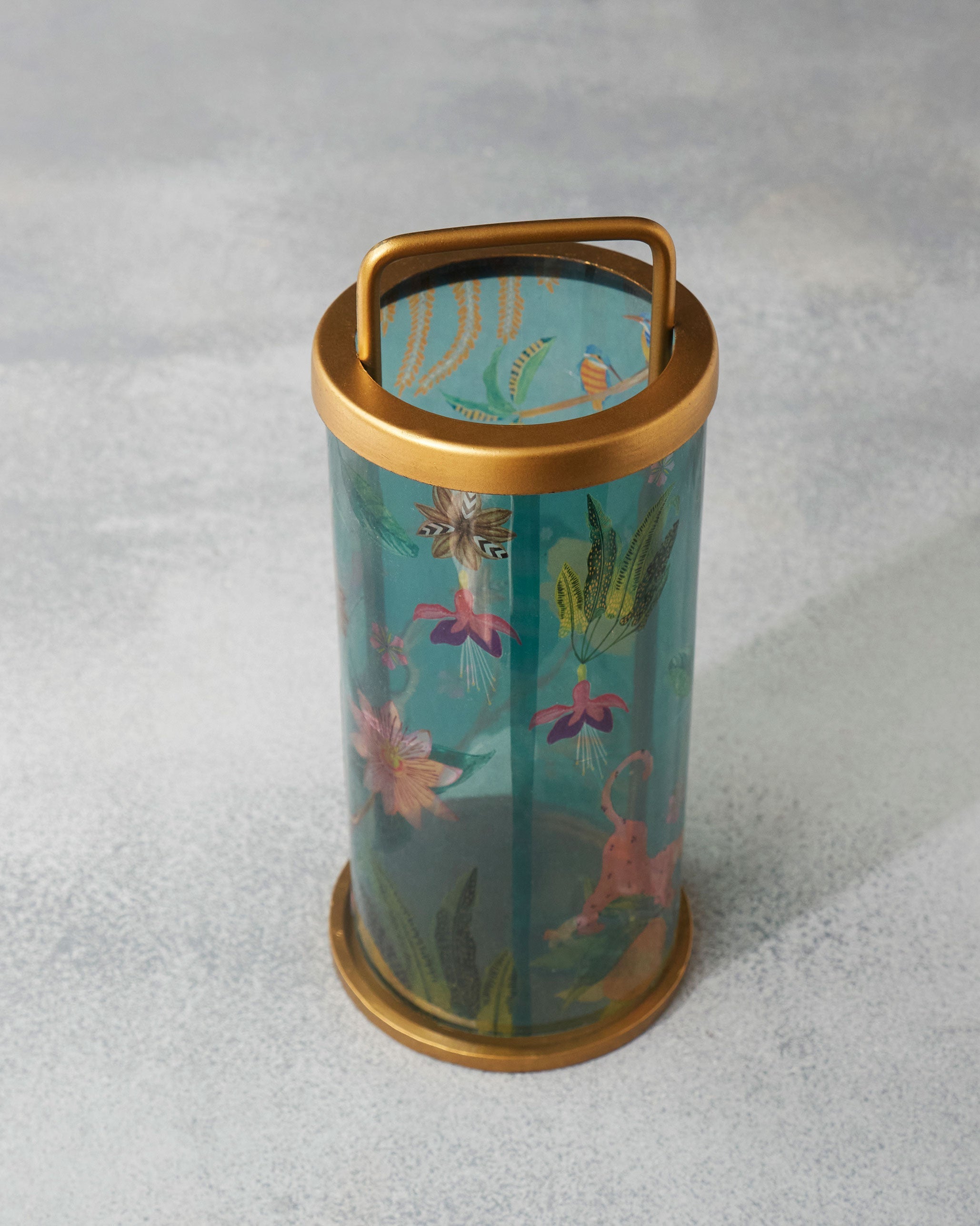 Cirrus Lantern - TSSxNB