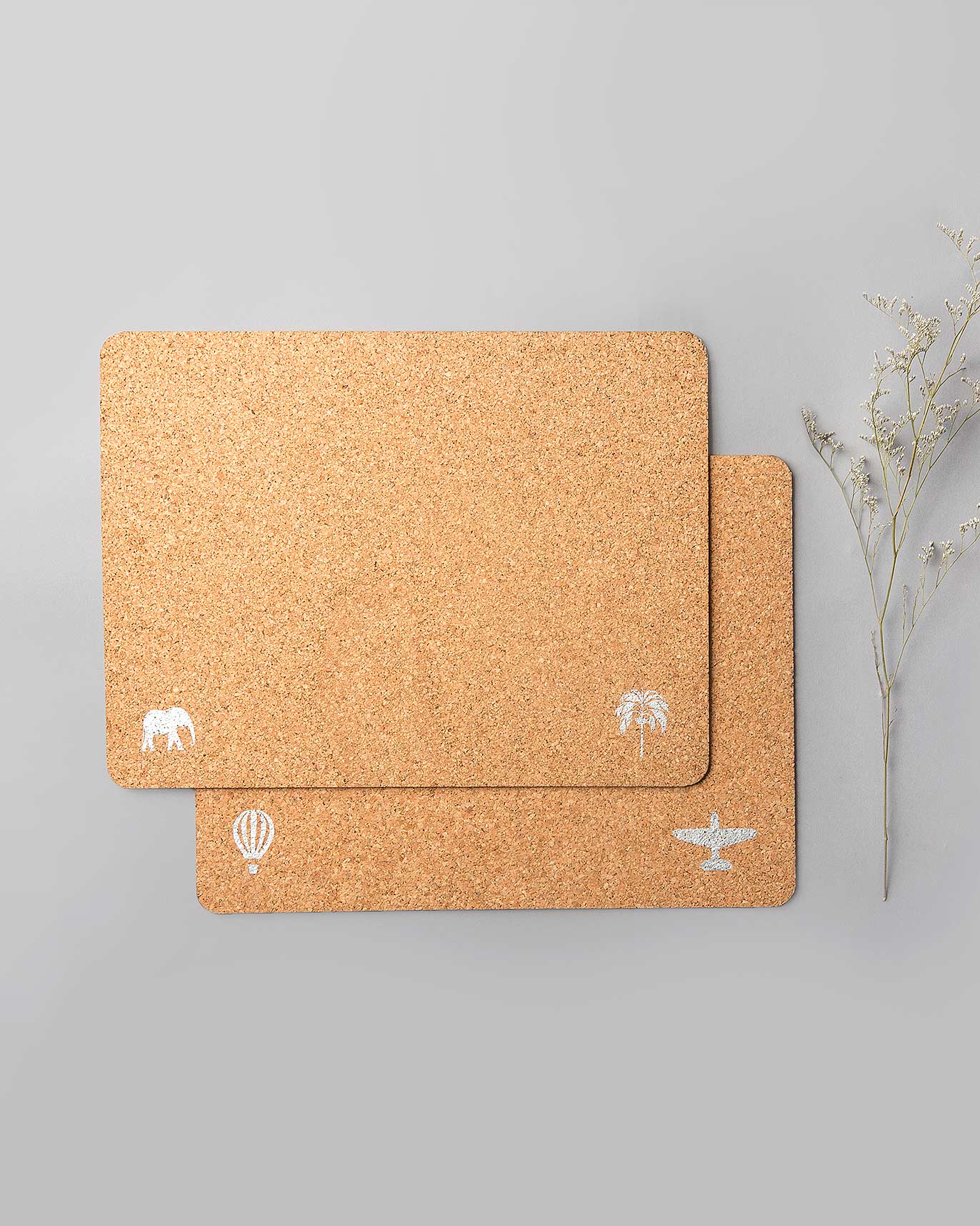 Cork Placemats (Set of 2)