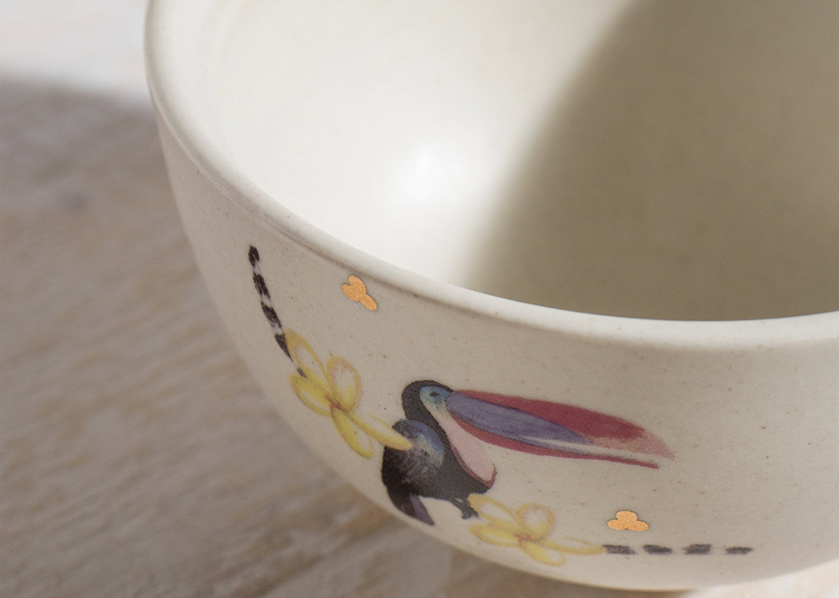 Toucan Katori