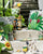 Madagascar:  Deck Up Your Indoor Oasis
