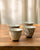 Niwa Tea cup set (Set of 4)