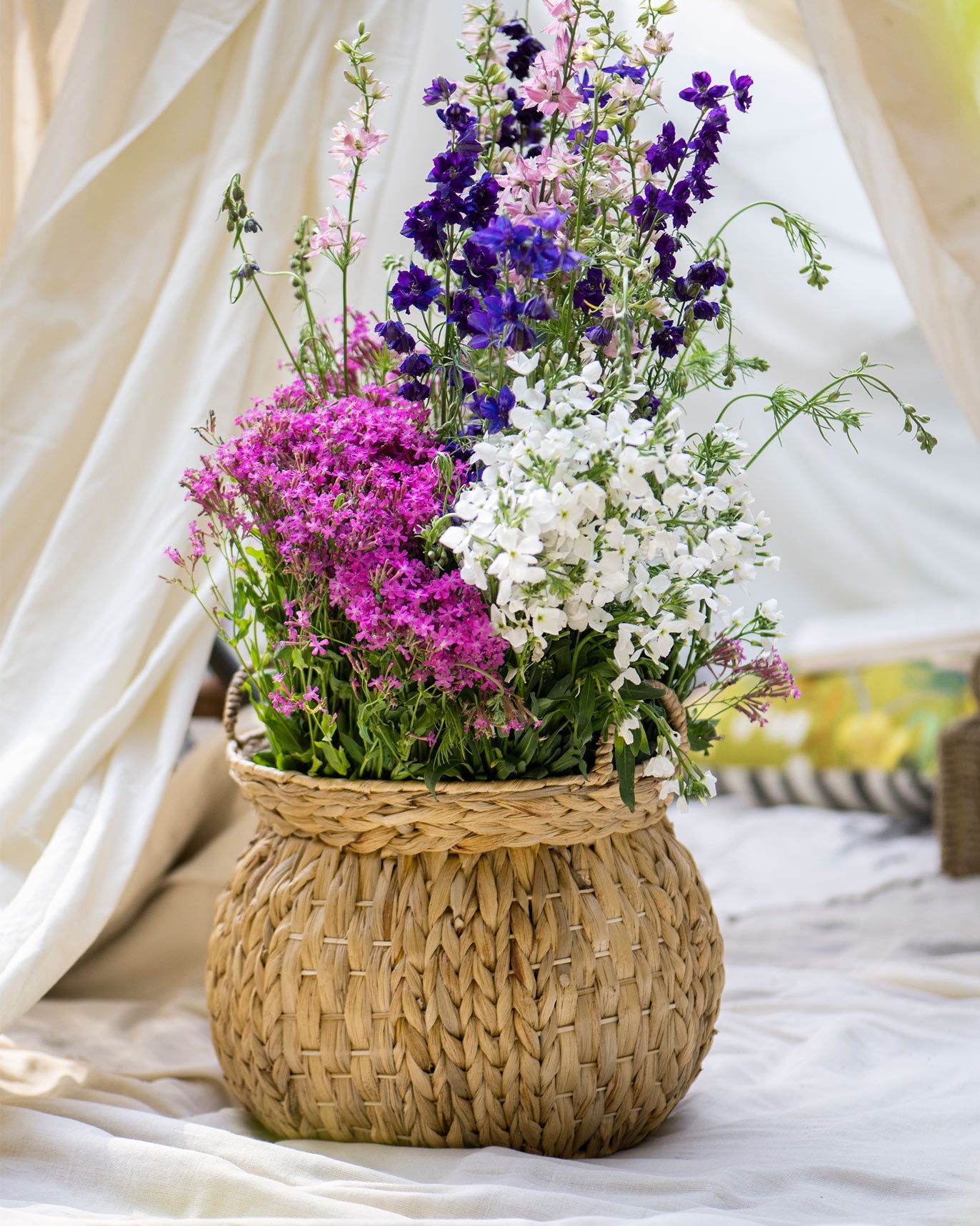Khasi Planter